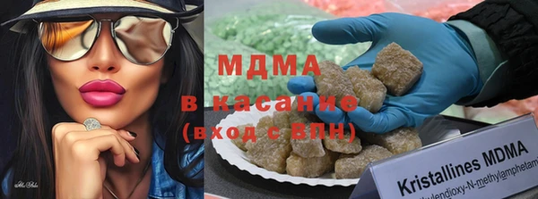 гидра Арсеньев