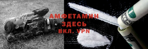 гидра Арсеньев