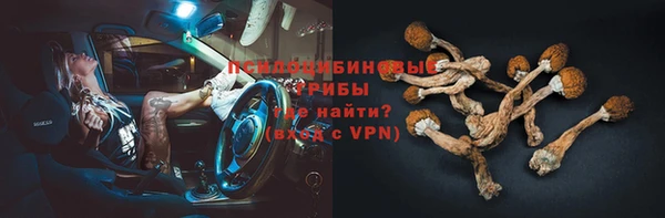 гидра Арсеньев